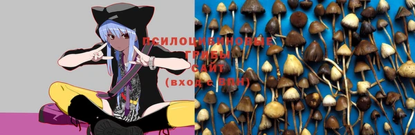 эйфоретик Абинск