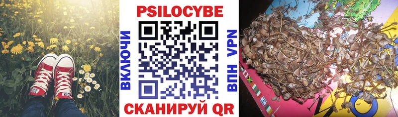 omg как войти  Вологда  Галлюциногенные грибы Magic Shrooms 