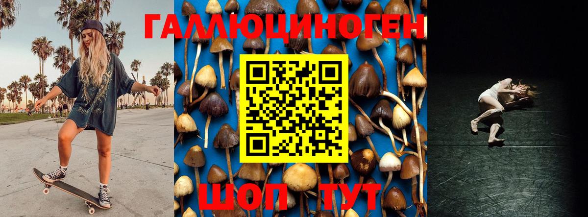 Псилоцибиновые грибы GOLDEN TEACHER  Вход с VPN  Вологда 